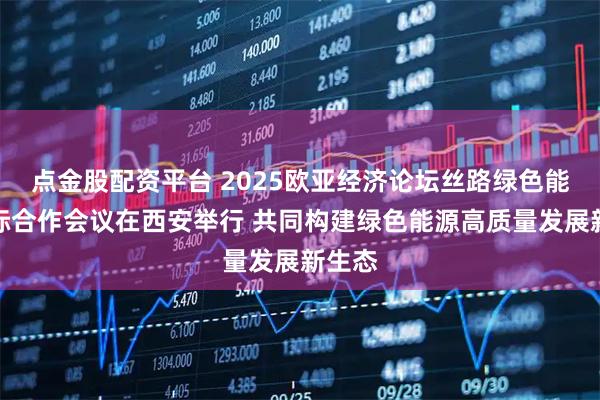 点金股配资平台 2025欧亚经济论坛丝路绿色能源国际合作会议在西安举行 共同构建绿色能源高质量发展新生态